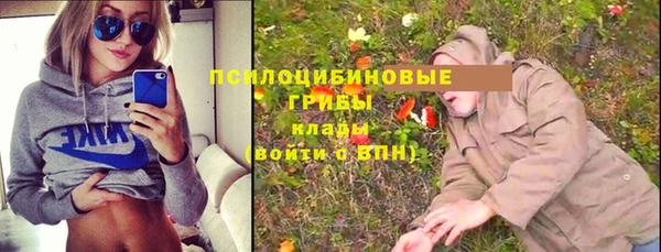 apvp Заволжье