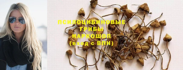 apvp Заволжье
