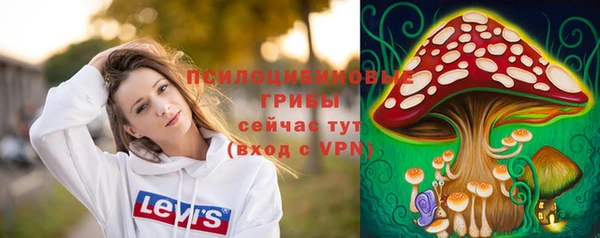 мдма Заводоуковск