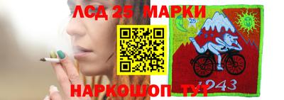 Альфа ПВП Бийск