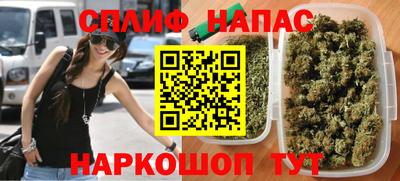 Альфа ПВП Бийск