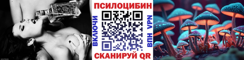 Галлюциногенные грибы прущие грибы  Знаменск 