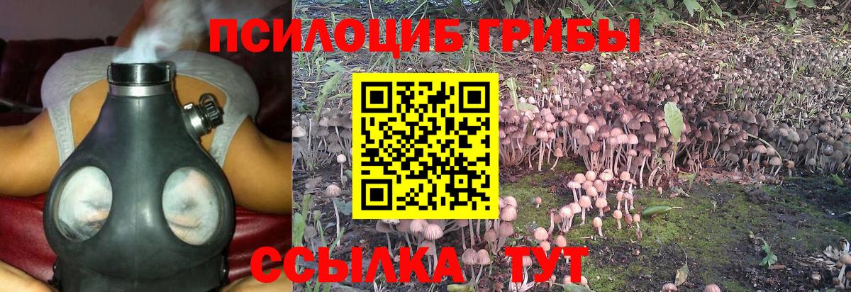 Знаменск  купить наркотики сайты  Вход с VPN  Галлюциногенные грибы ЛСД 