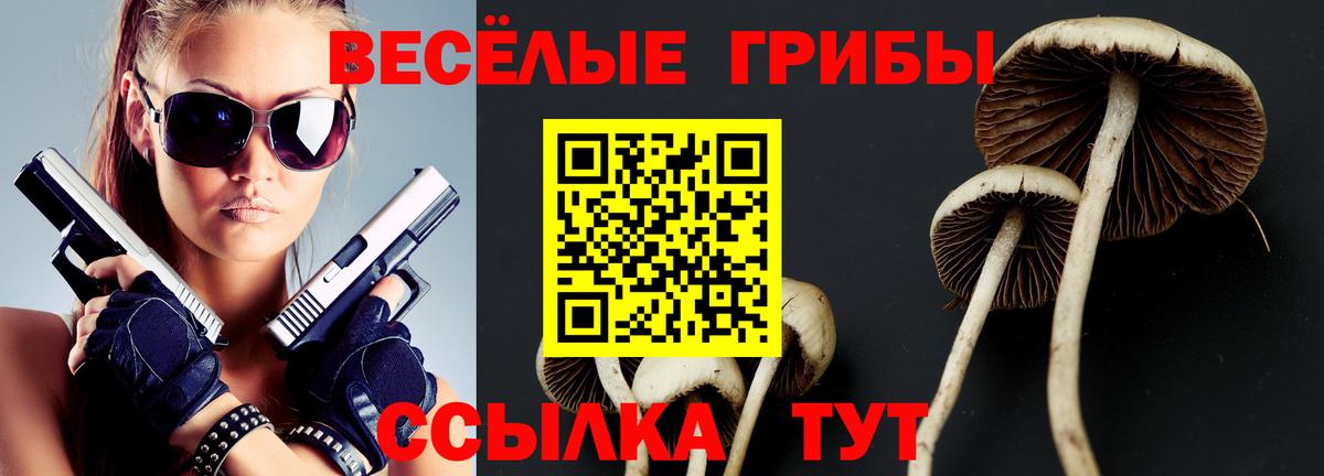 Галлюциногенные грибы прущие грибы Знаменск