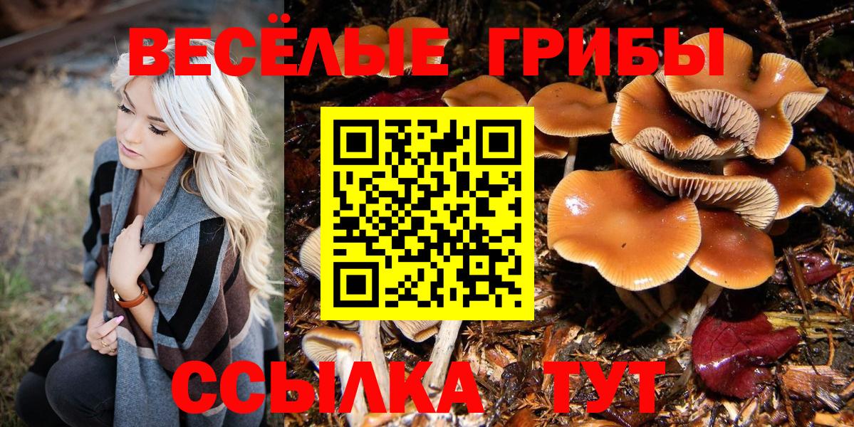 A-PVP Знаменск